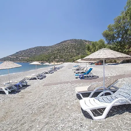 Nil * Mesudiye (Datca)