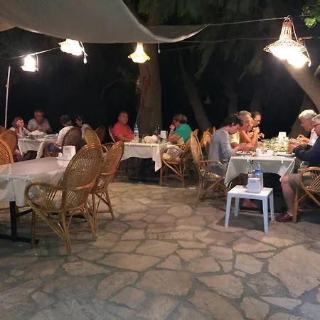 Nil Mesudiye (Datca)