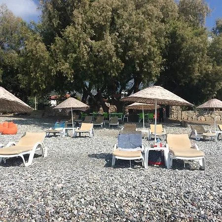 Nil Mesudiye (Datca)