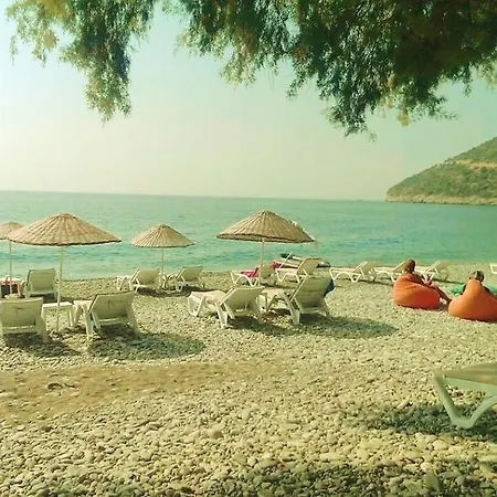 Nil * Mesudiye (Datca)